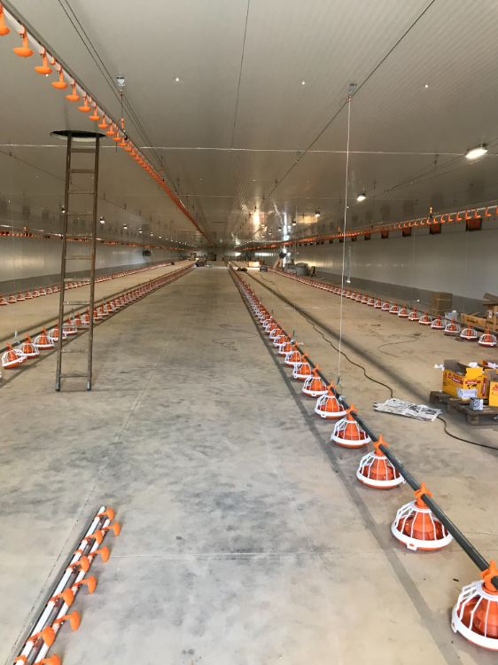 unelsa - obra de reforma de empresa